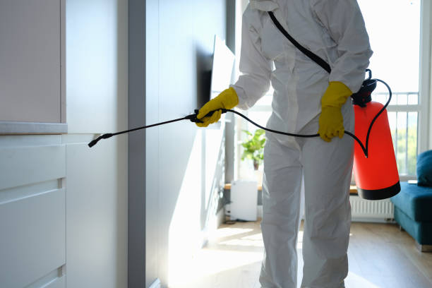 Best Post-Remediation Services in Forest, MS